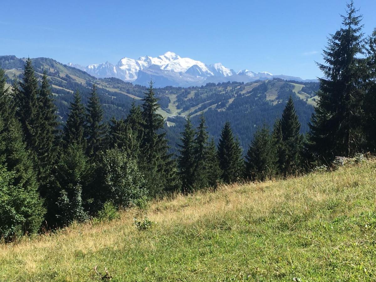 Apartment In Northern Alps With Skiing Nearby 레게츠 외부 사진