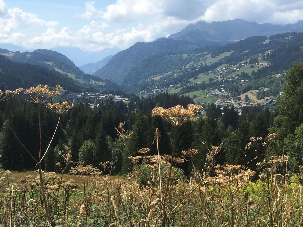 Apartment In Northern Alps With Skiing Nearby 레게츠 외부 사진