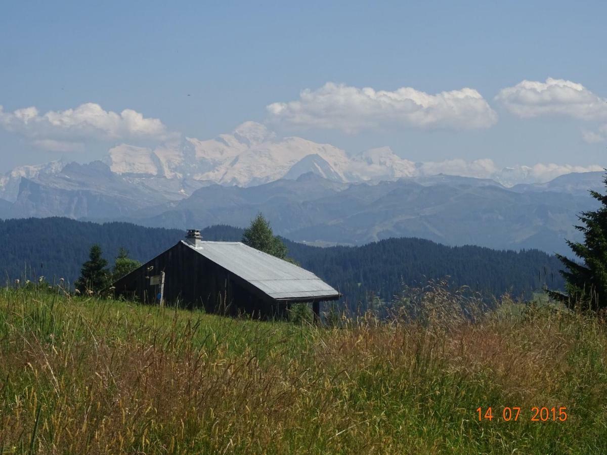 Apartment In Northern Alps With Skiing Nearby 레게츠 외부 사진